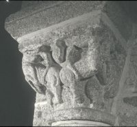 Lions acculés