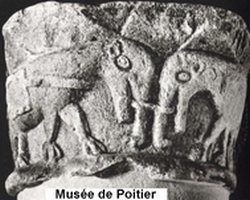 éléphants musée de Poitier