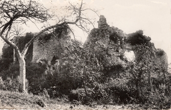 Ruines du château